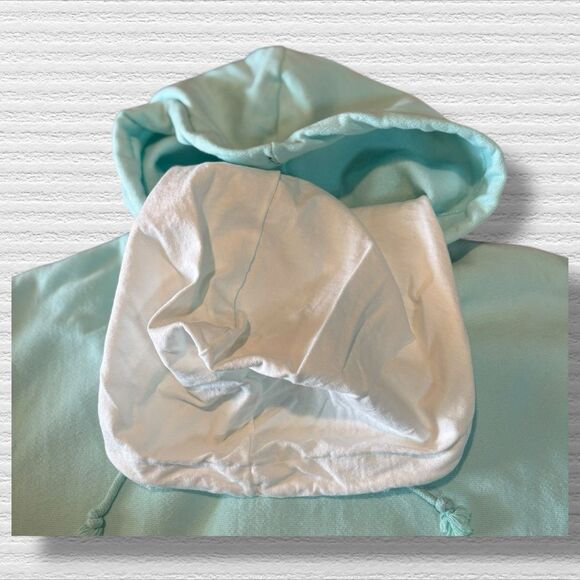 CHAMPION  Reverse Weave Double Hoodie In Ice Fall/white Size Large - Picture 5 of 9